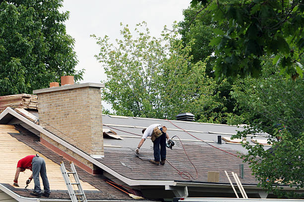 Best Storm Damage Roof Repair  in Ridgely, TN