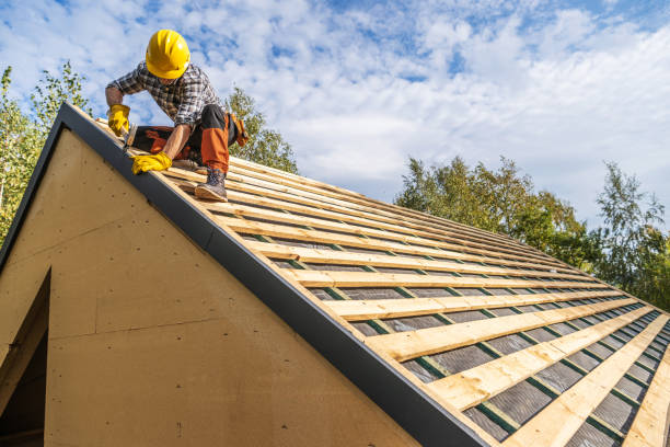 Best Roof Repair Services  in Ridgely, TN