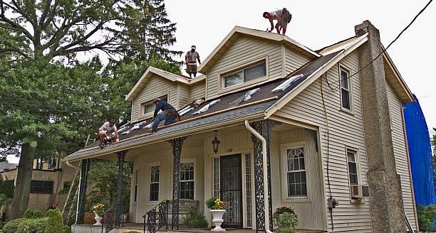 Best Commercial Roofing Services  in Ridgely, TN