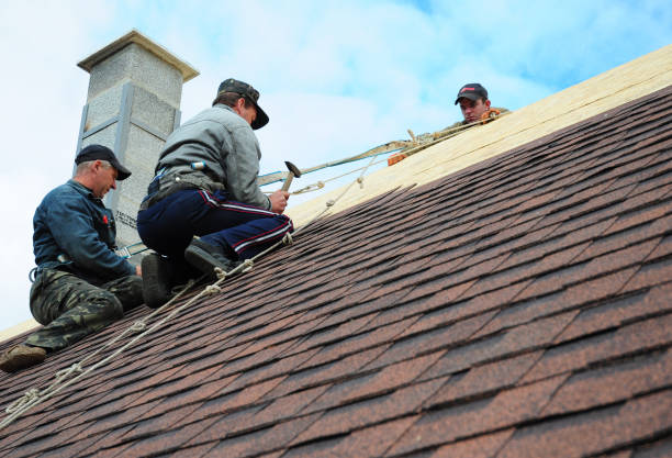 Best Commercial Roofing Services  in Ridgely, TN