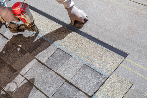 Best Shingle Roofing Installation  in Ridgely, TN